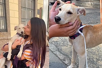 Moça cruza com neném sem dono, resolve dar uma chance e recebe sorriso perfeito de agradecimento