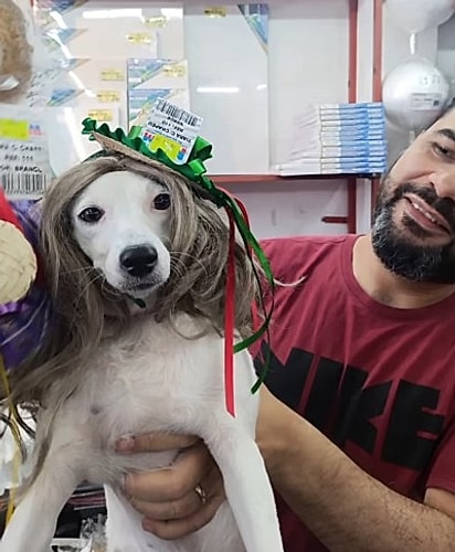 A cachorrinha virou ‘modelo’.
