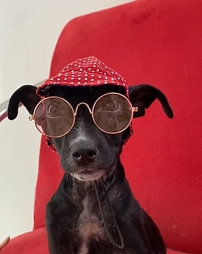 A cada dia, Chloe mostrava sinais de recuperação. 