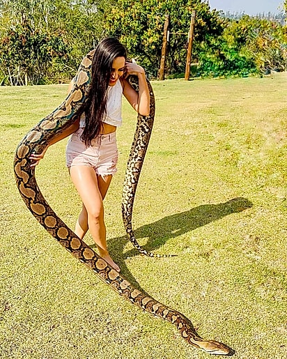 Trena com a metade do tamanho que tem hoje.