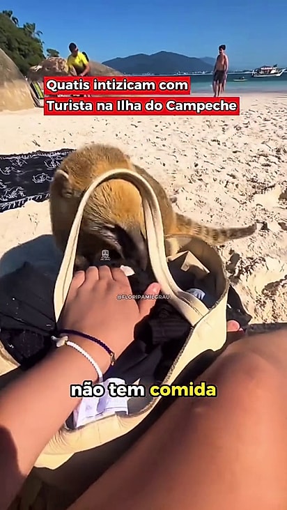 Mesmo dizendo que não tinha comida eles tentavam entrar na bolsa da mulher.