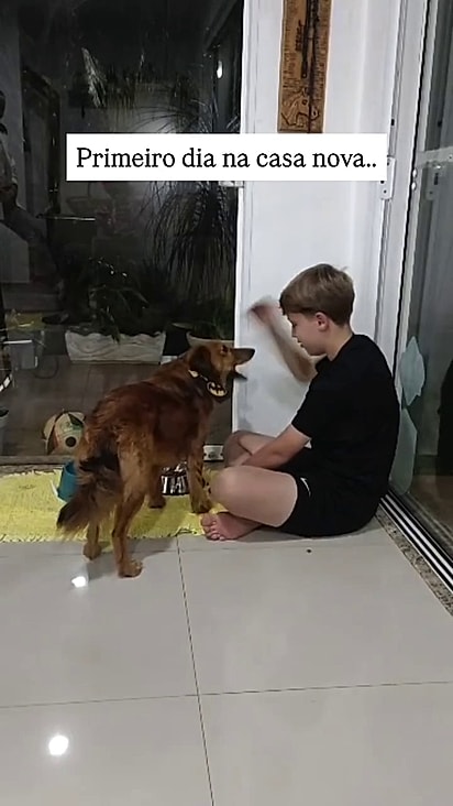 Paçoca ganhou um melhor amigo humano.