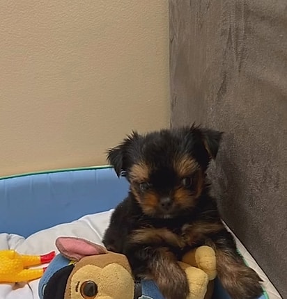 Desde cedo, Fred já demonstrava comportamentos estranhos.