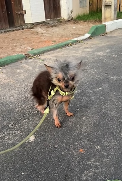 Apesar dos desafios, Fred é o amor da vida da tutora. 