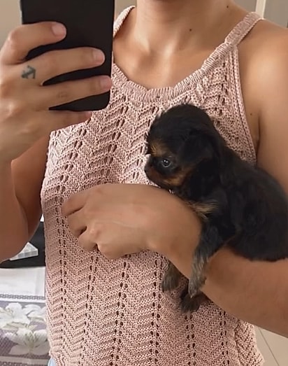 Bastou um colo para Gab se apaixonar pelo filhote.