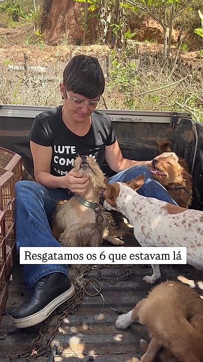 Alguns cães não sobreviveram.