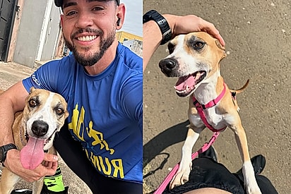 Cachorrinha que seguiu atleta por 26 km é adotada e hoje vira sua inseparável parceira de treinos