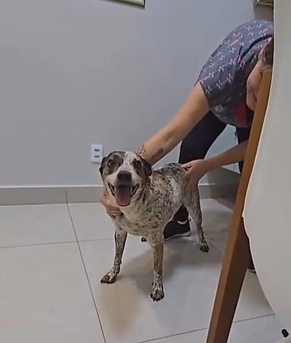 Wandinha empolgada ao enxergar o amigo.