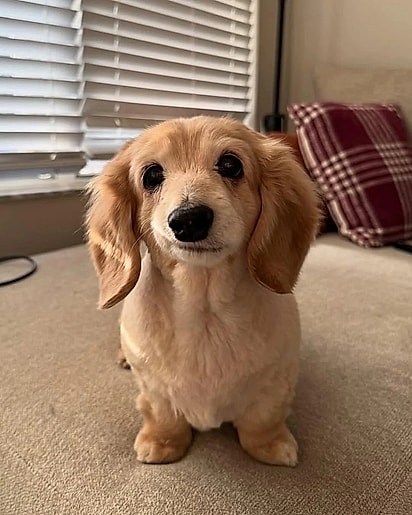 Bella tem o sorriso torto.