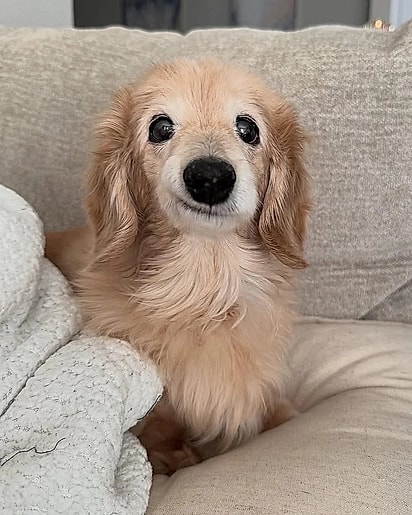 Bella sorri pois não tem alguns dentes.