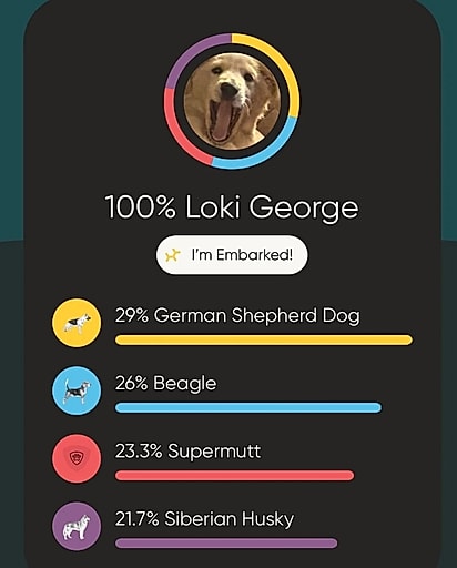 Resultado do teste de DNA de Loki George.