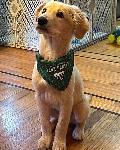 Loki George é o xodó da sua família.