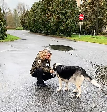 A equipe já ajudou mais de mil cães e gatos.