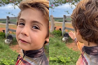 Menino de coração puro convence pais a adotar duas vidinhas que encontrou na porteira da fazenda.