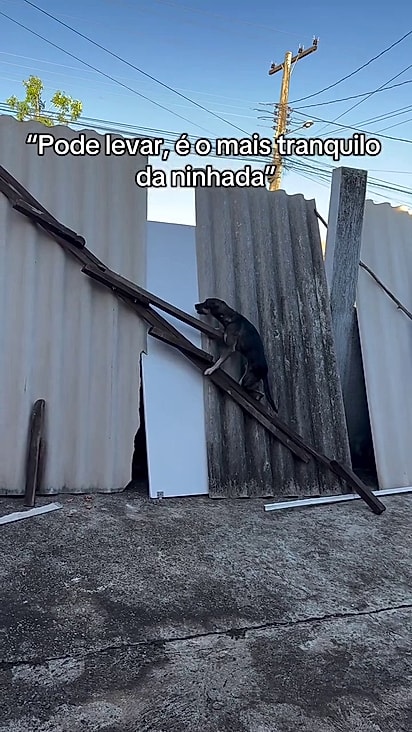 Pé Duro já é conhecido na internet.