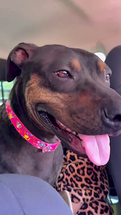 Cris ficou muito feliz ao ser acolhida.