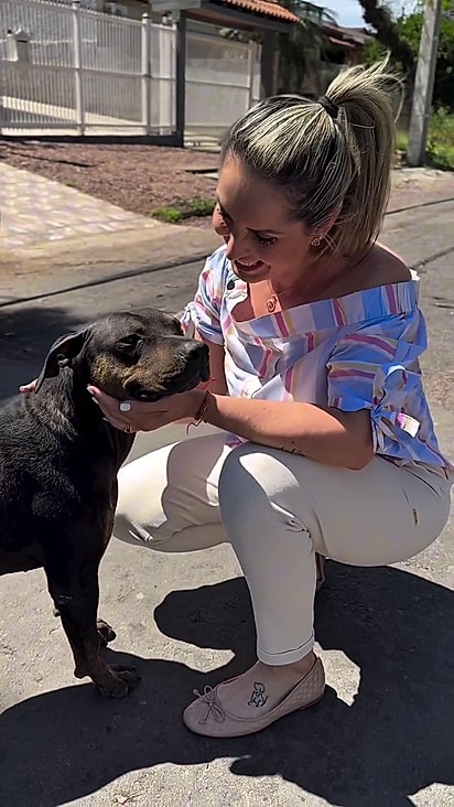 A protetora foi buscá-la na rua em que a cadela vivia.