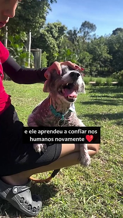 Ele mudou completamente em apenas 4 horas.