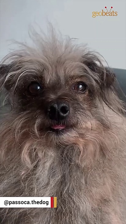 Ele foi salvo e passou a ajudar outras pessoas.