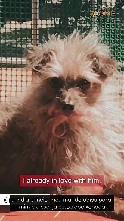 A tutora sabia que precisava salvá-lo.