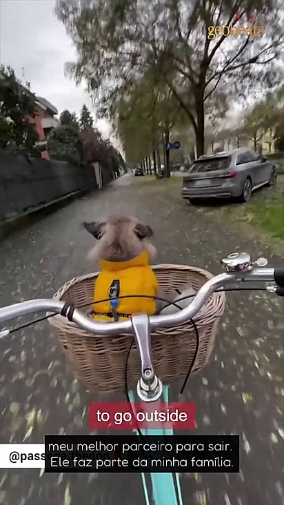 Paçoca saiu das ruas do Brasil para passear na Europa.