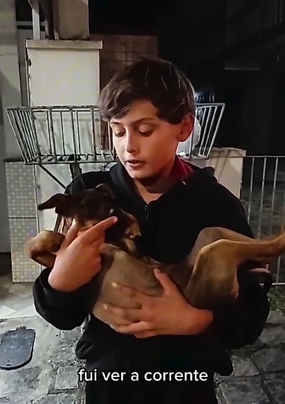 Gabriel resgata cachorrinha de maus-tratos e emociona a cidade com sua atitude.