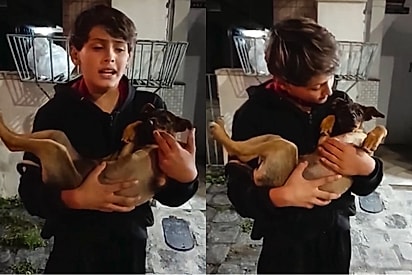 Menino de coração gigante dá bike e os vintão para salvar cachorrinha de maus-tratos.