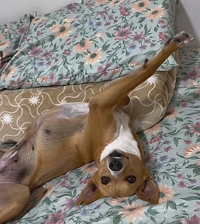 Hoje, Sol está radiante.