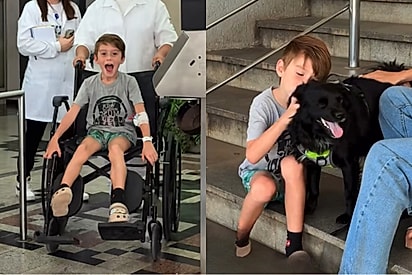 Veja como esta o menino que emocionou o mundo ao receber a visita de melhor amigo no hospital.