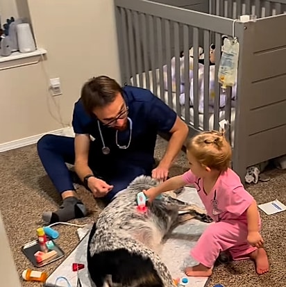 O boiadeiro-australiano da família foi um ótimo ator.