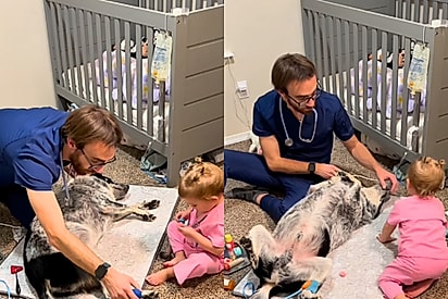 Médico tenta ensinar para filha sua profissão, mas atuação perfeita do paciente canino rouba a cena: Digna de Oscar
