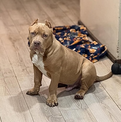 Benjamin, filho de Hulk.