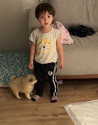 A conexão entre crianças e pets transforma a infância e traz benefícios emocionais, sociais e físicos.