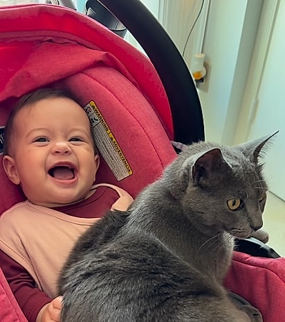 Aurora feliz da vida porque a gata Kate deitou em seu colo. 