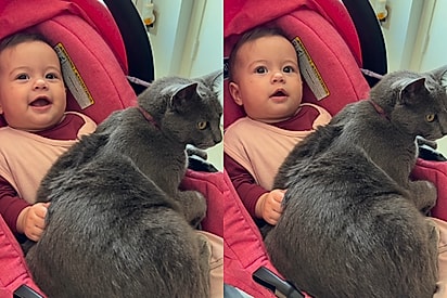 Nem papai, nem mamãe! Bebê diz a primeira palavra e deixa pais incrédulos