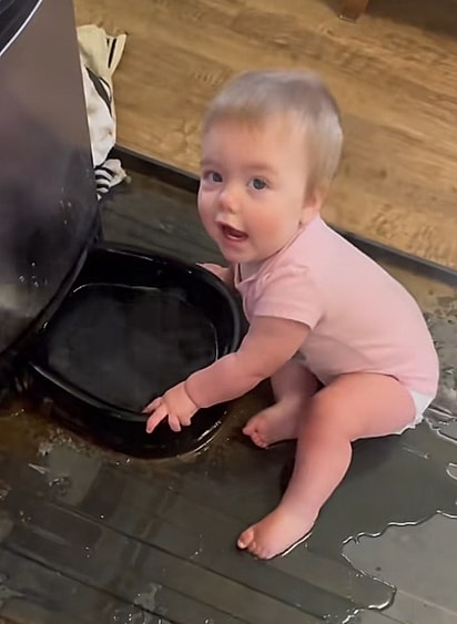River, uma garotinha que também cresceu com cães, brincando com a vasilha de água.