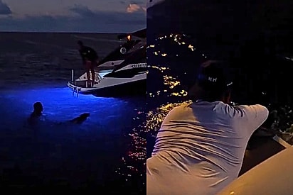 Cão à deriva em alto-mar mobiliza operação de salvamento complexa entre lanchas na Praia dos Carneiros