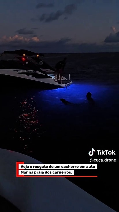 Um homem precisou pular na água para buscar o cão.