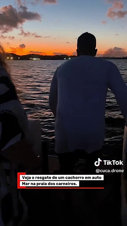 O cão estava nadando em alto-mar.