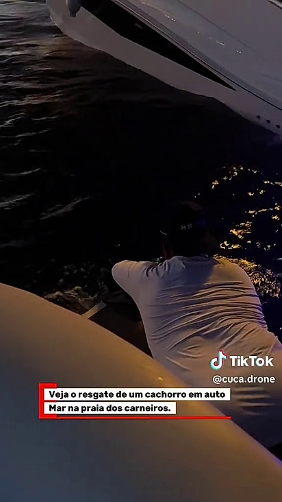 Todos estavam empenhados no resgate.