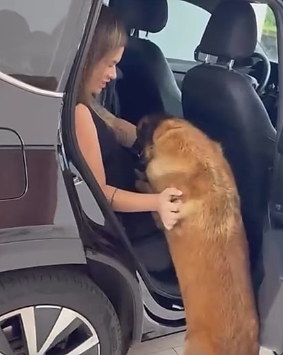 A cachorrinha Frida estava muito empolgada.