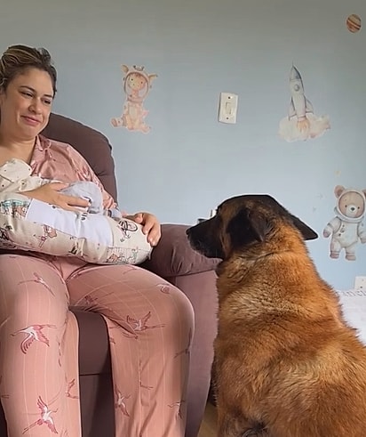 Frida virou uma guardiã. 