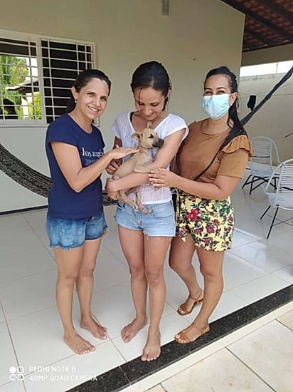 O filhote foi adotado.