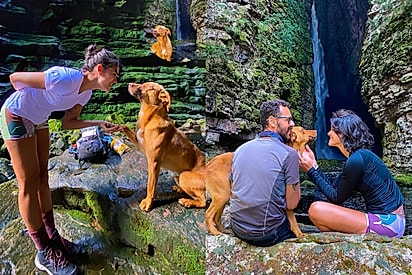 O caramelo é uma figura muito querida pelas pessoas.