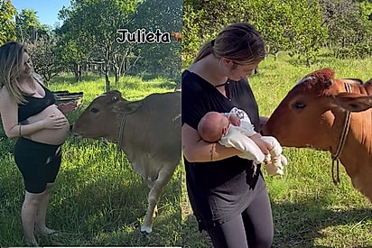 Bebê é recebido com carinho por família multiespécie e cena encanta