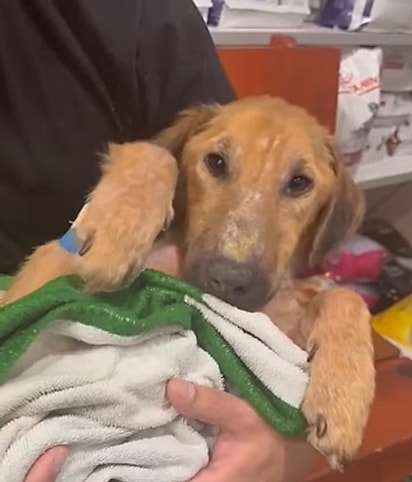 Ramón segue internado, recebendo cuidados intensivos.