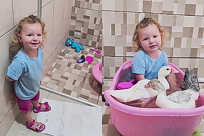 Menina de dois anos troca brinquedos por patos no banho e conquista a internet