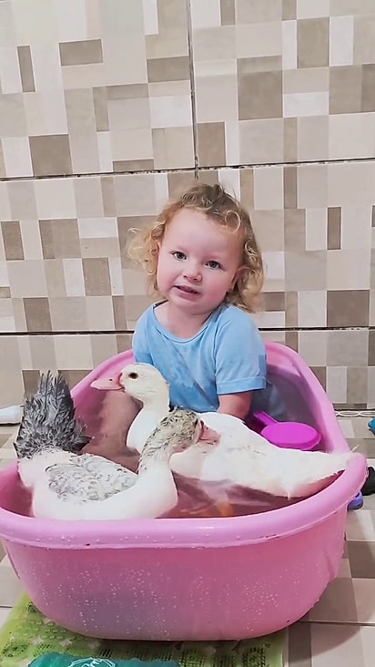 Beatriz adora seus pets.