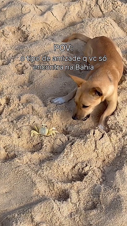 Os dois ficaram se provocando por um tempão.