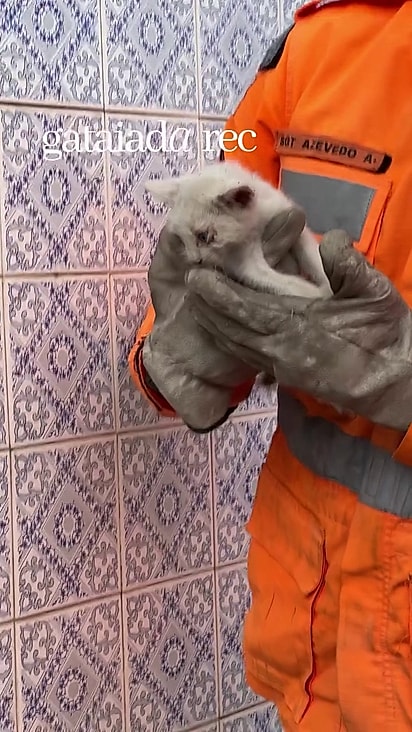 Apesar de um pouco debilitada, ela sobreviveu.